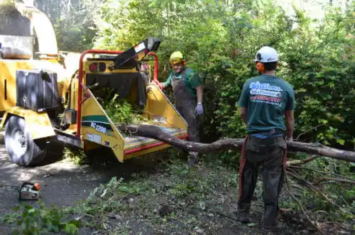 tree services Fairbank